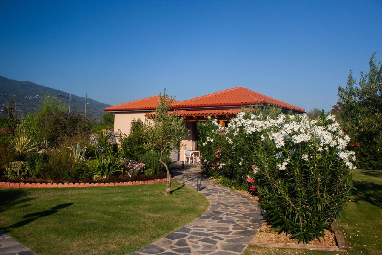 Elite Cottages Kato Lekhonia Ngoại thất bức ảnh